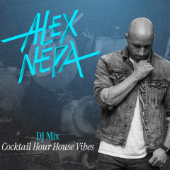 Wedding Cocktail Hour House Vibes