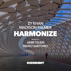 Zy Khan & Madison Palmer - Harmonize (Amir Telem Remix)