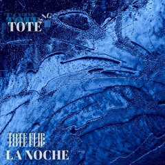 Chris Lake, Skrillex, ANITA B QUEEN - La Noche (TOTE FLIP)