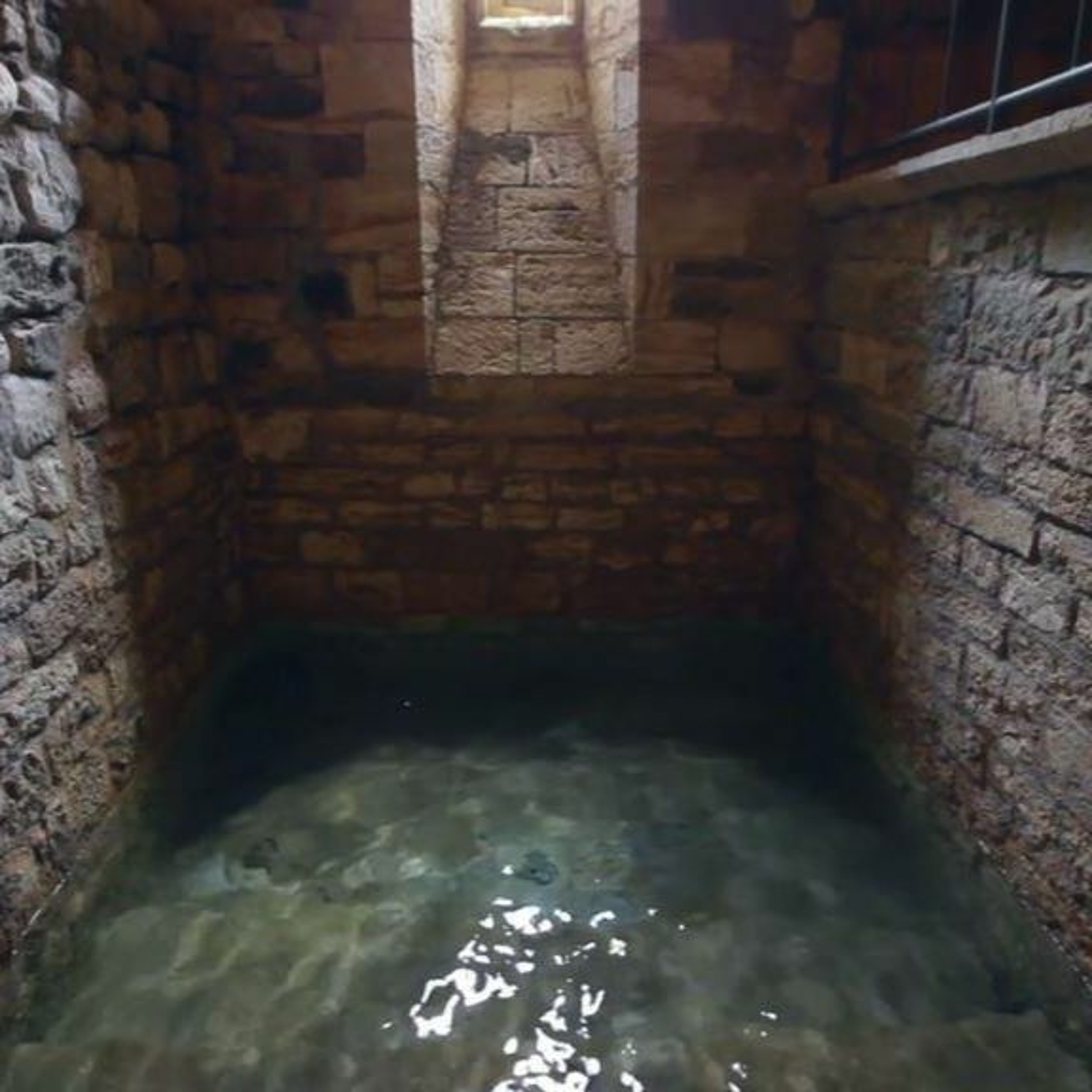 Episode 27: Immersion - Swimming Pools and Mesiras Nefesh