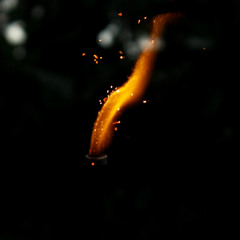 Light in the Darkness