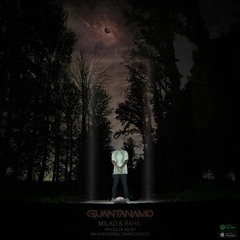 Milad & Rahil - Guantanamo