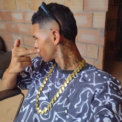 MENOR DE RAÇA (feat. Mc LFzin ( Dj js do Pc )