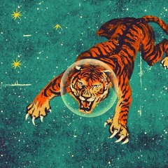 safe n sound (zayzay cover)