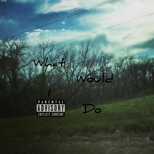 What Would I Do (prod LethalNeedle)(feat L4CW Fiddy)