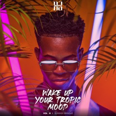 DJ ZERFLY - Wake Up Your Tropic Mood Vol.8 - Summer Bringue