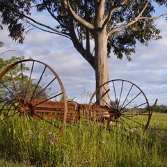 The Country Life