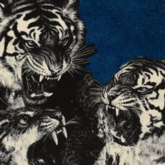 BATTLE FOR THE BREAK