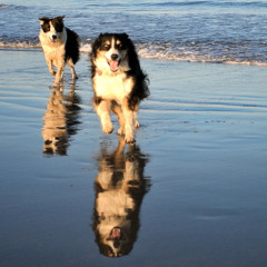 Catch Me - Crispy (Freestyle)