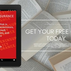 Cyberinsurance Policy: Rethinking Risk in an Age of Ransomware, Computer Fraud, Data Breaches,