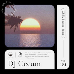 【Chilly Source Radio Vol.181】 Mixed by Cecum #japan #summer