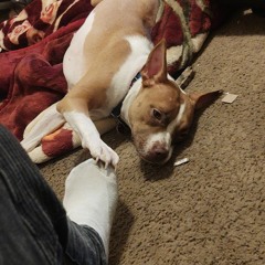 synchronize prod: lethalneedle