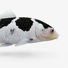 BABY BOY FT ANDROLAV OH N LYRIC