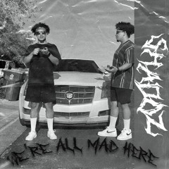 "WE'RE ALL MAD HERE"