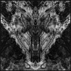 04 The Dimension Beyond