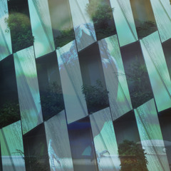 flip