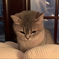 TikTok - long nhat remix