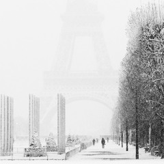 Snowfall in Paris (Remix)