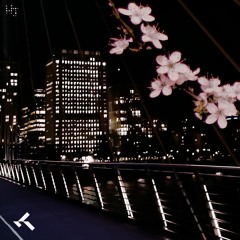 Passion Living The Night (Crime of Passion) (Original Mix)