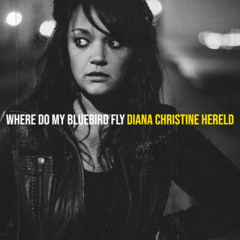 Where Do My Bluebird Fly