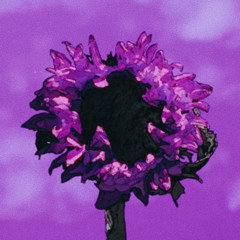 Comb (Absent Chronicles Remix)