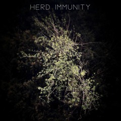 Herd Immunity