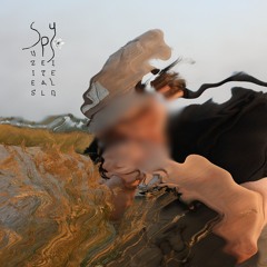 suzie and the script (w/ arys vance)