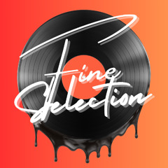 THE FINE SELECTION - VOL 1