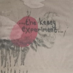 Kesey Experiment - Still