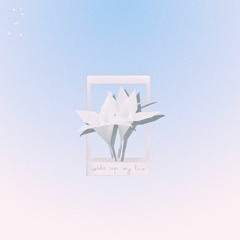 Wake up My Luv (Feat. songseoul)