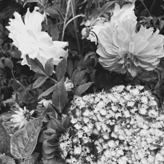 true love waits by radiohead.