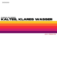Chicks On Speed - Kaltes Klares Wasser (Jay Frog Fix) Snippet