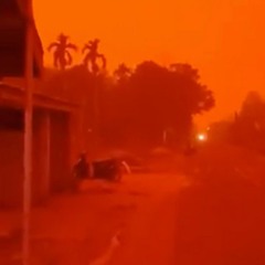 TRIPPLEG - FACTS FEAT LEVI