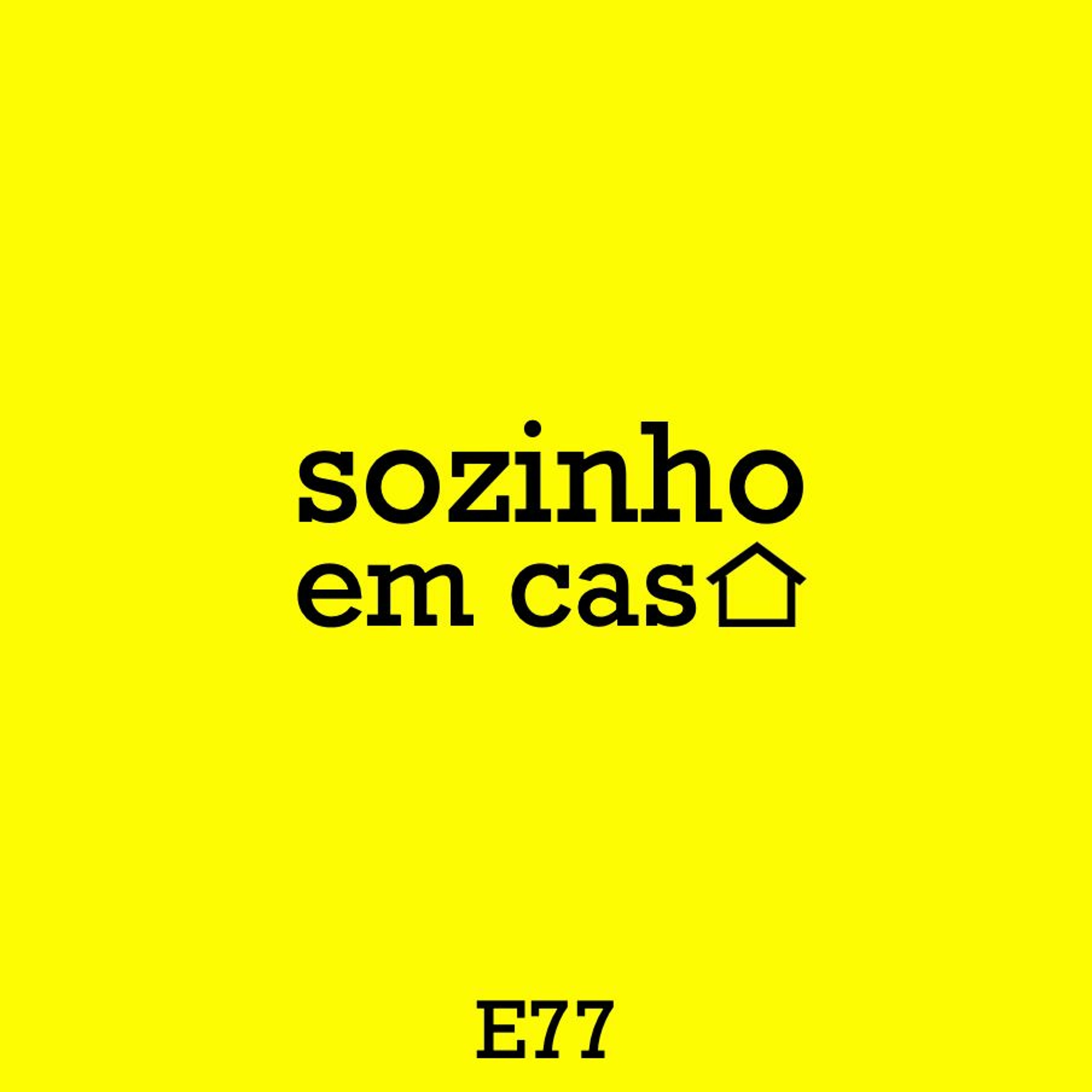 sozinho em casa