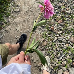 Don’t Follow Me (shed, gloro)