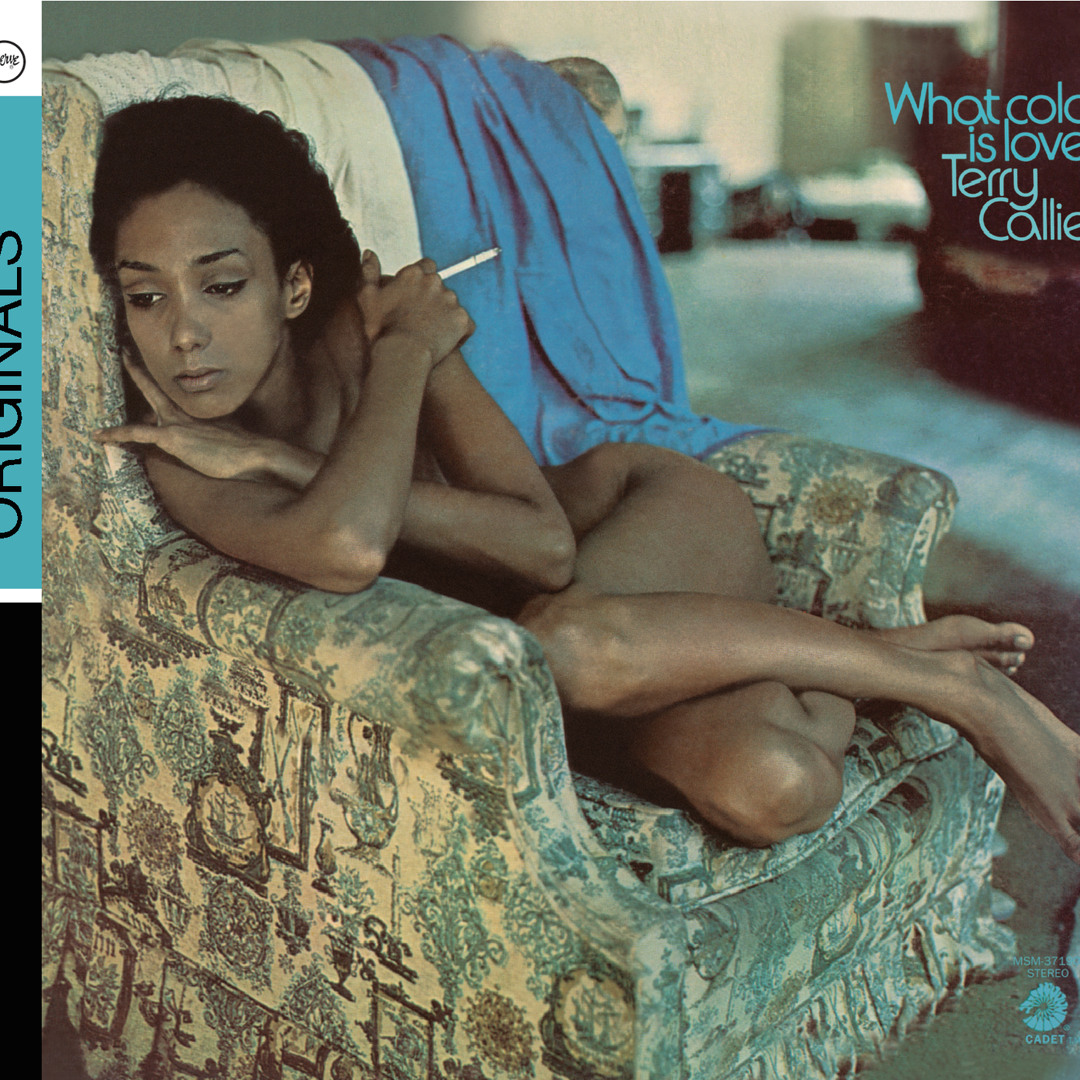 Terry Callier – What Color Is Love – Vinyl (LP, Album + 2