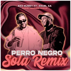 Perro Negro x Sola Remix (Samuel Fernández Mashup) - Bad Bunny ft. Anuel AA [COPYRIGHT]