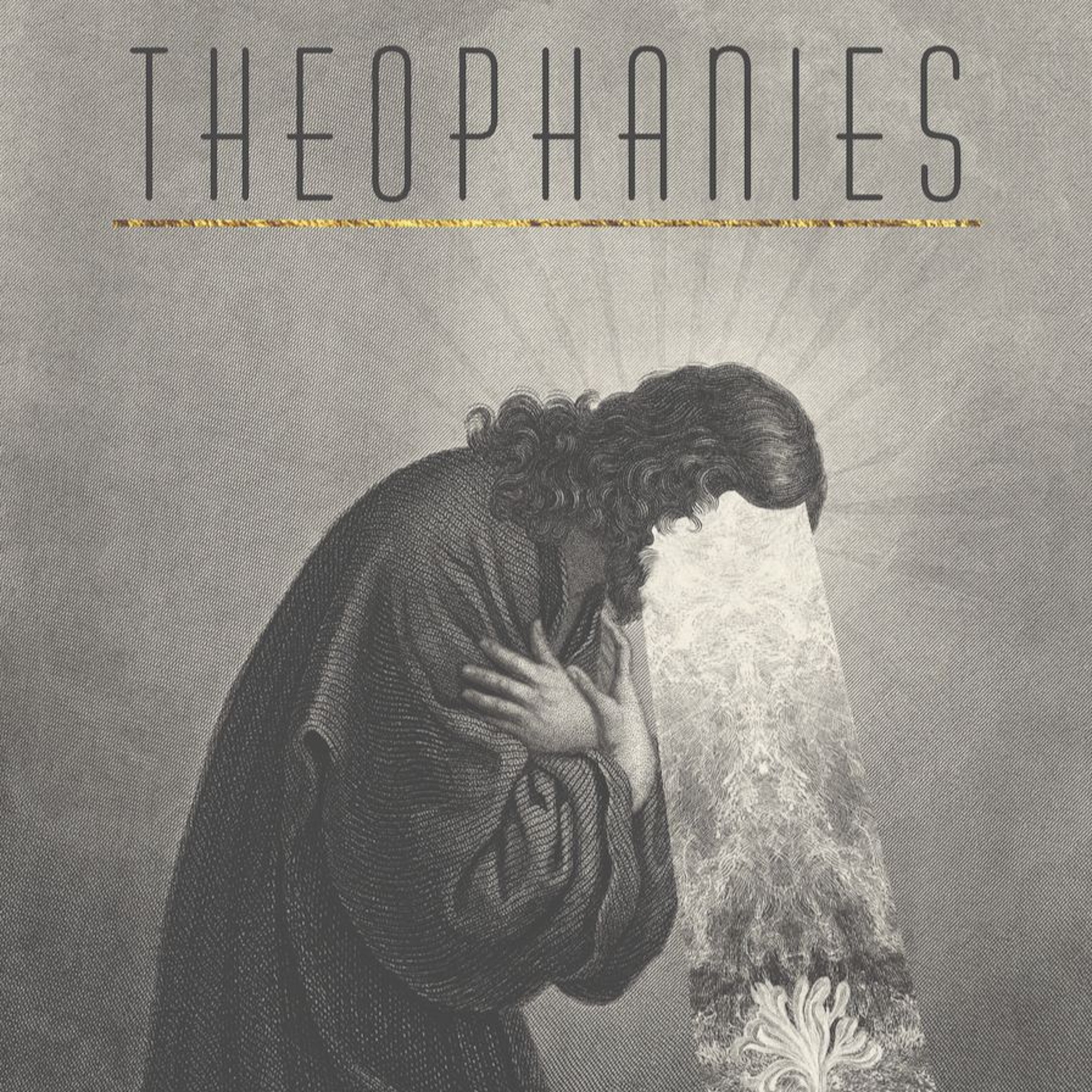 Theophanies by Sarah Ghazal Ali episode artwork