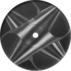 Micropoint - Schizophrenic Park