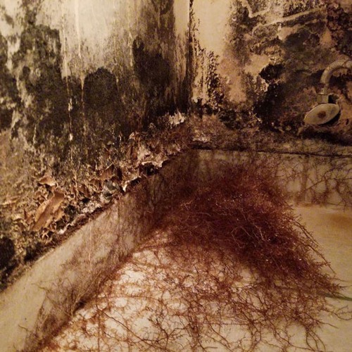 wtf is this nigga talking about