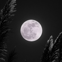 SENSONICA :: Pink Moon Meditation