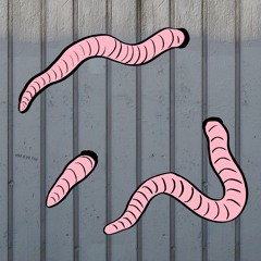 Journey Through Wormtime