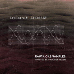 Samples Pack - KICKS RAW LOOPS (Demo)