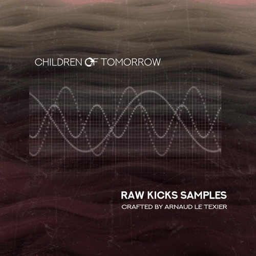 Samples Pack - KICKS RAW LOOPS (Demo)