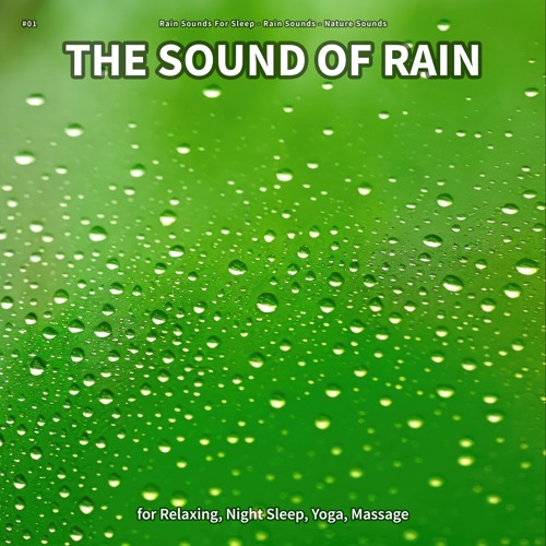 The Sound of Rain, Pt. 3