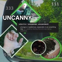 YOU'RE NOT INSANE