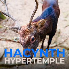 In The Hypertemple