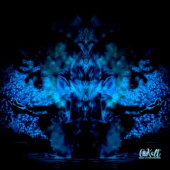 meditation