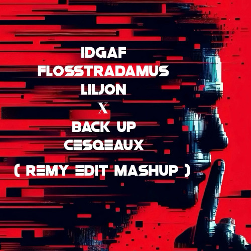 IDGAF x Back Up! ( R3MY EDIT MASHUP)