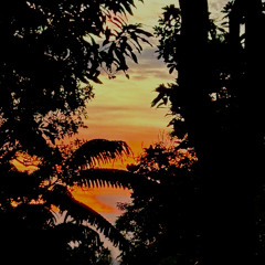 The Jungle Jah Kah Mantra Song